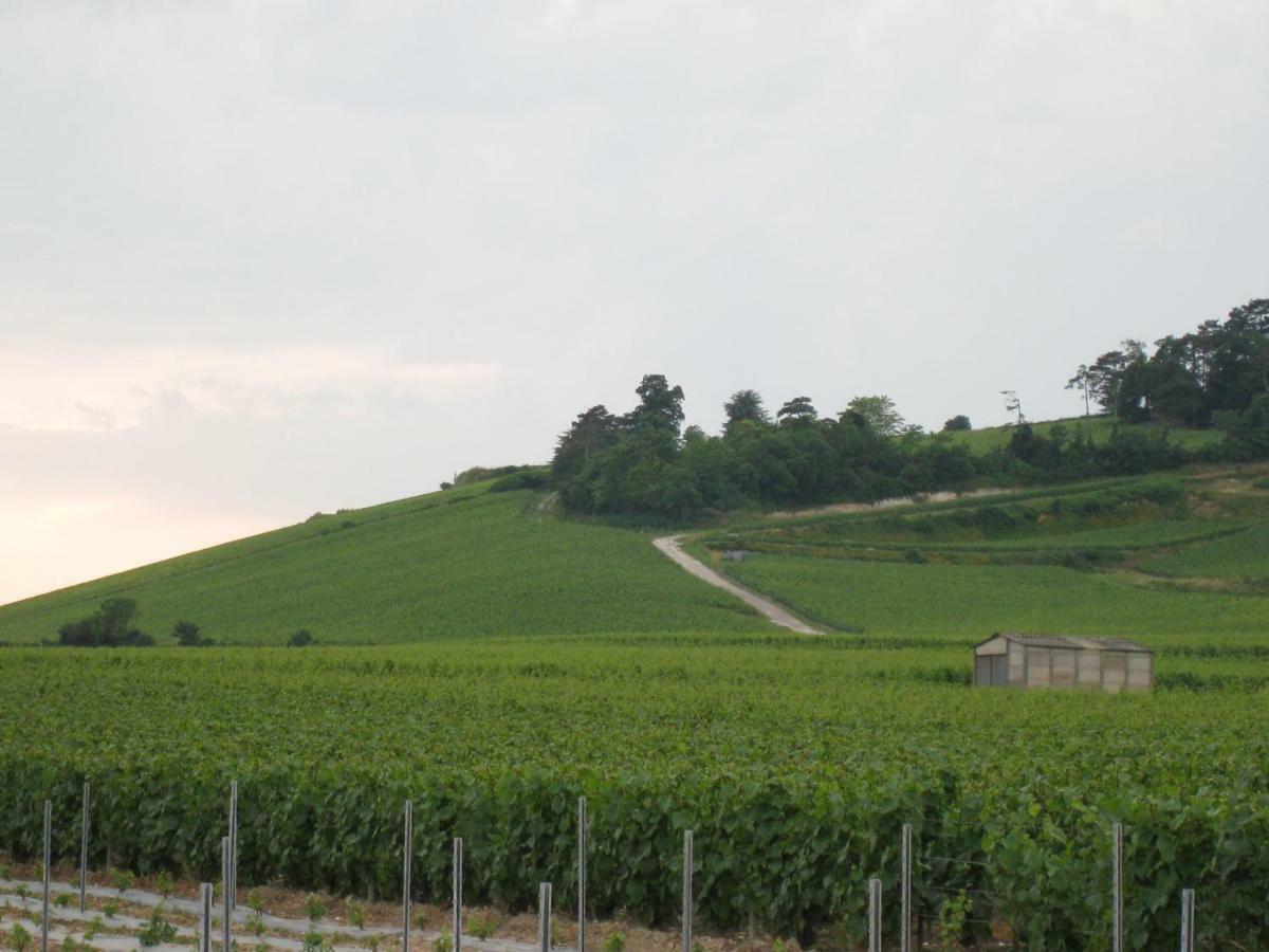 La Chambre D'Amis La Costignieres Montgueux エクステリア 写真